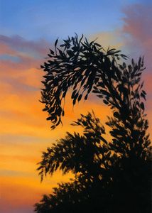 Shilloute Nature Artwork