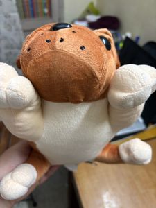 Dog Toy Plushy