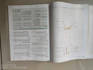 Anatomy Textbook - Upper Limb &amp; Thorax