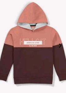 Color Block two tone  Hoodie sweatshirt