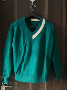 Green Sweater 🦖