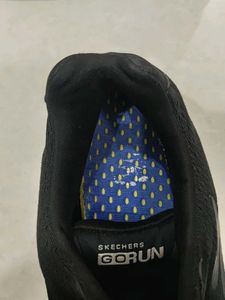 Skechers Shoes