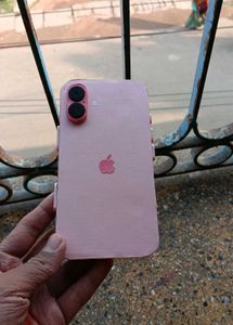 iPhone 16 Plus (⚡Dummy⚡) Pink🩷 Colour  Cardboard