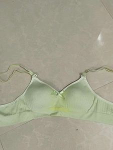 padded bra