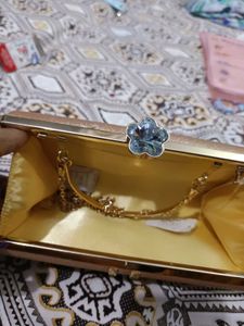 Elegant Evening Clutch
