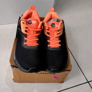 Campus Sports Shoes