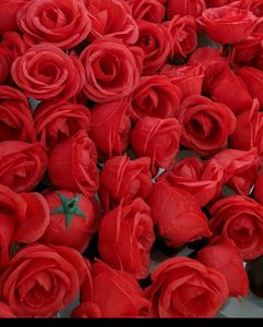 5 Pcs of Big Premium Quality Rose Flower Buds