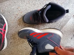 Adidas basketball Shoes