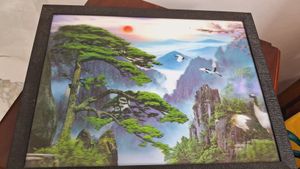 3D Picture