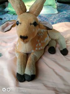 Toy