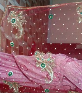 Chiffon +net Pallu With Shining