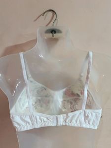 Women Pam Bra (Combo Pack Of 5p )