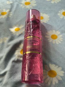 Bath & Body Works Bod