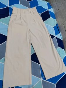 Branded Stylish Pant