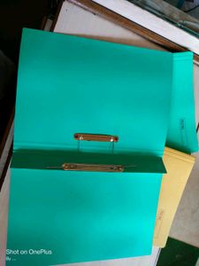 New Cobra Spring File, Office Files, File folders