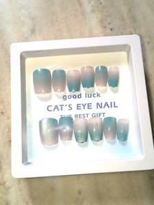 SALE 🆕🎄🎅Cat Eye Press-On Nails - New