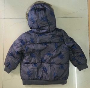 Boys Dinosaur Padded Jacket
