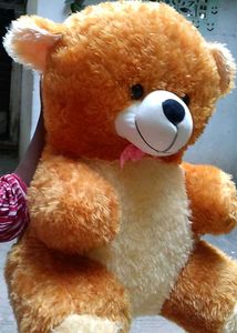 Teddy