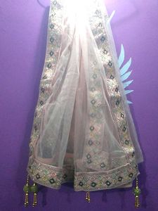 Elegant Embellished Lehenga Choli Set