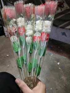 Rose Combo 🤩 Pack Of 5