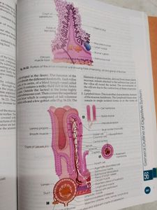 Human Physiology (CC Chatterjee) Volume 1&amp;2