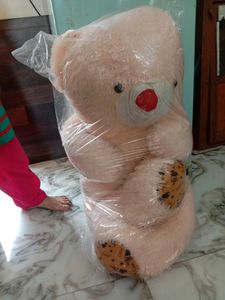 Cash 600 Teddy Bear Special For Valentine