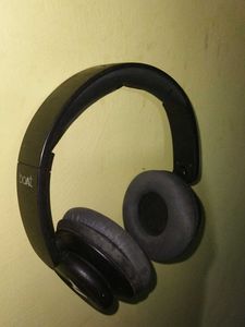Boat Rokerz 450 Headphones