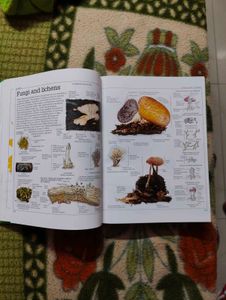 Ultimate Visual Dictionary