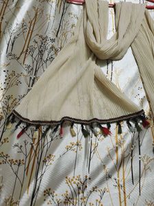 Trendy Stole For Women