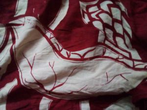 Womens Red With White Cotton Saree.