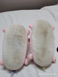 Pink Unicorn Shoes For Home