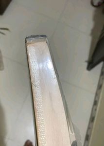 Fenta Cricket Bat ( New )