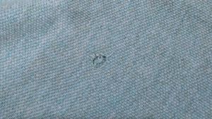 Tommy Hilfiger Light Green Polo Tee