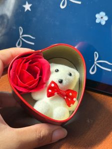 TEDDY GIFT BOX