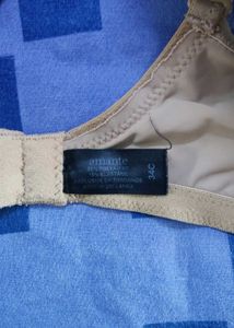 Amante 34C Padded T-shirt Bra
