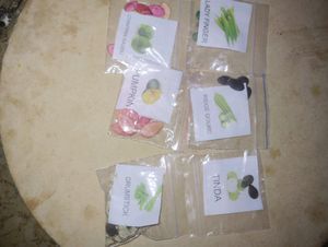 50 Types of Vegetable Plant Seeds