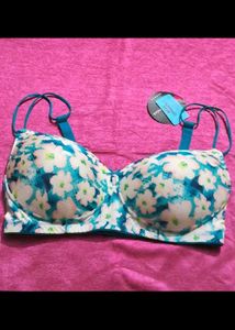 Combo Of 2 Clovia Bra Size 36E