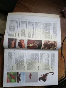 Invertebrate Zoology By EL JORDAN AND PS VERMA