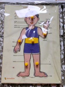 Educational Puzzles: Vegetables &amp; Body Parts