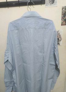Blue Shirt Old Money