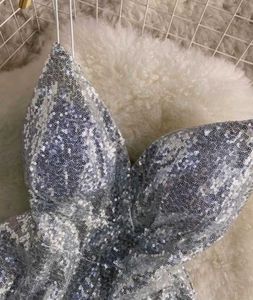Silver Sparkle Drees