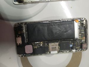 iPhone 5