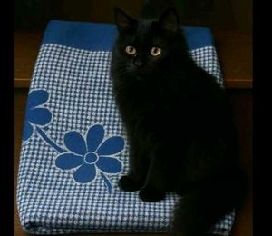 Vintage Gingham Quilt