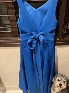 Blue Sleeveless Dress