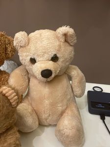 Teddy Bear Trio