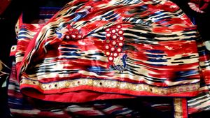 Peacock Mirror Work Saree