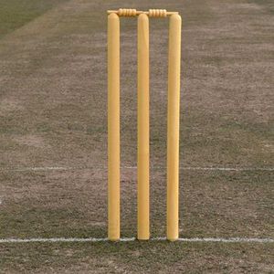 Revive Cricket Wicket Set