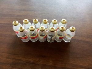 12 Empty Insulin Bottles