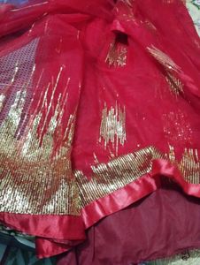 Red & Gold Embellished Fabric