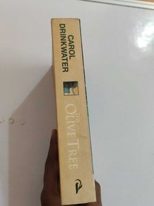 The Olive Tree by Carol Drinkwater
